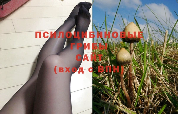 сатива Алзамай