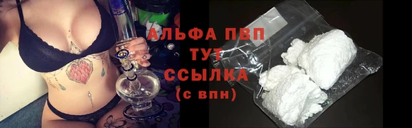 стаф Абинск