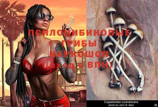 сатива Абдулино