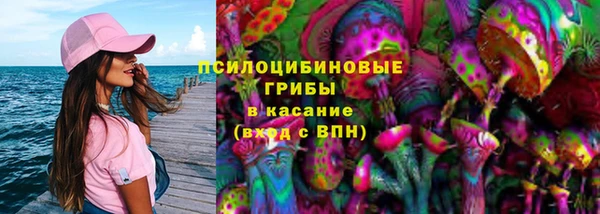 сатива Алзамай