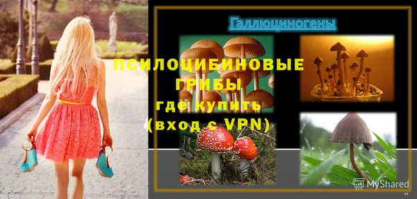 стаф Абинск