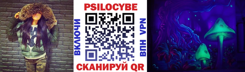 Псилоцибиновые грибы Psilocybe  Энем 